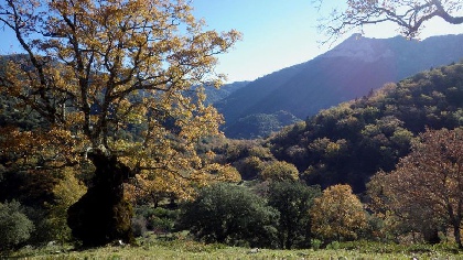 Puente de la Constitución - Parque Natural Sierra de Grazalema